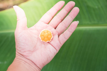 Kanom Jamongkut on Hand and green background.