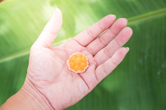 Kanom Jamongkut on Hand and green background."Ja = chief , mongkut = crown" a kind of crown-like yellow sweetmeat mainly made of yolk and sugar.