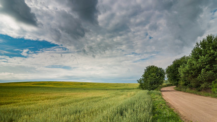 Fototapeta na wymiar summer rural landscape. a dirt road along the agricultural field under a beautiful cloudy sky