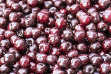 Organic purple cherries background. Food background