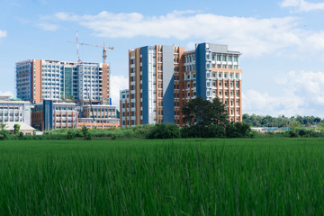Obraz premium View of construction site building between rice field, hospital building.