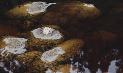 Rocks in acid waters