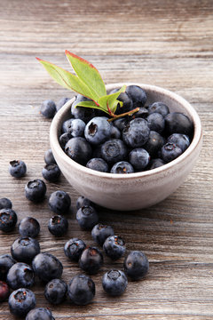 Freshly picked blueberries in wooden bowl. Juicy and fresh blueb