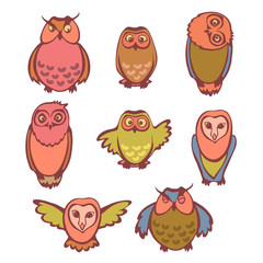 Set of funny owls.