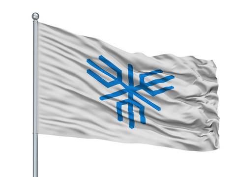Sakai City Flag On Flagpole, Country Japan, Osaka Prefecture, Isolated On White Background