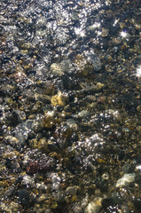 sea pebble beach with multicoloured stones, waves with foam