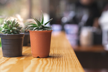 selective focus cactus potted on wooden table with coffee machine cafe in background