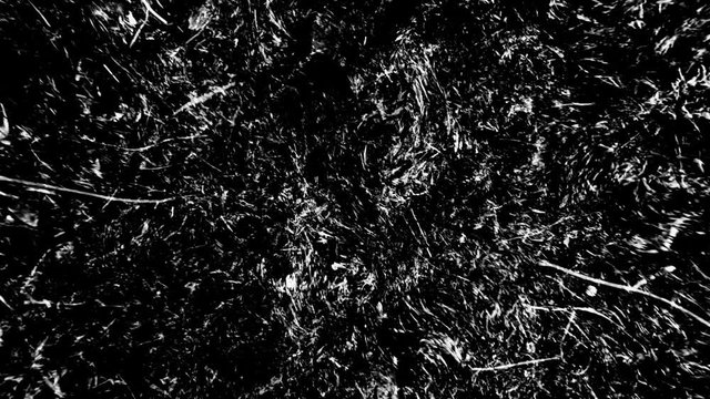 Liquid Grass Looped Animation