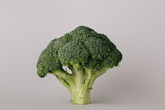 Green fresh broccoli
