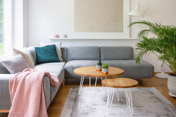 Two hairpin tables placed on carpet in real photo of white living room interior with fresh plant...