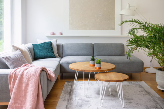 Two hairpin tables placed on carpet in real photo of white living room interior with fresh plant and modern poster