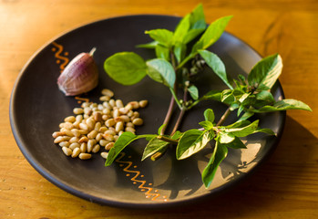 Fresh ingredients for preparing Italian pesto sauce - lemon basil sprigs, peeled seeds of cedar nuts, large garlic clove, Greek olive oil, Parmesan cheese