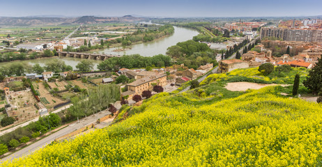 Fototapeta na wymiar View over the Ebro river in Tudela, Spain