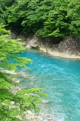 ミルキーブルーの渓流。秋田の観光名所、抱返渓谷。仙北　秋田　日本。７月中旬。