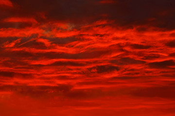 Cloudy dark red sunset. Beautiful evening twilight in the wild nature. Dramatic orange sky above...