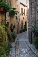 Plants lining the narrow street in a beautiful Umbrian town of Spello in Italy