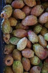 Many Plickly pear cactus fruits