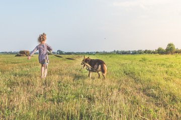 a girl, child summer Sunny day walking the dog on a leash, shepherd on a green grassy meadow