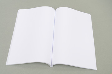 Blank catalog,brochure, magazines,book mock up on gray background