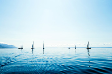 Portrait of sailing boats on open sea