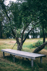 table under an apple tree. Autumn concept. Soft focus