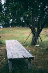 table under an apple tree. Autumn concept. Soft focus