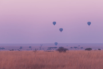 The hotter ballon in Serengeti National park ,Tanzania.