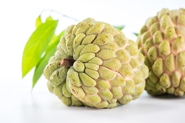 Fototapeta premium fresh sugar apple fruit(Custard Apple),sweetsop on white background