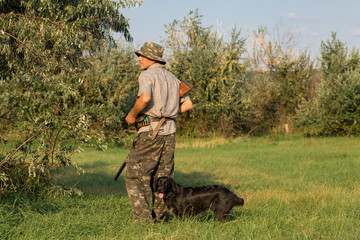 Hunter with a German trotter and spaniel, hunting a pheasant with dogs	