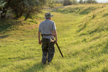 Hunter with a German trotter and spaniel, hunting a pheasant with dogs