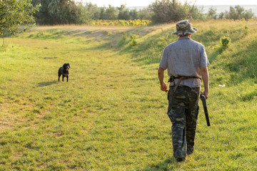 Hunter with a German trotter and spaniel, hunting a pheasant with dogs