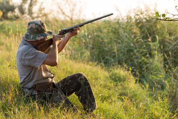 Hunter with a German trotter and spaniel, hunting a pheasant with dogs