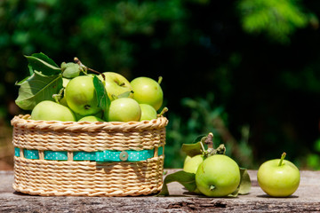 Fresh ripe apples in basket on the rustic wooden table outdoor
