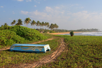 Sri Lanka. The Coast Of The Indian Ocean. The Wild Beach
