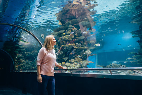 Woman In The Aquarium Watching The Fish