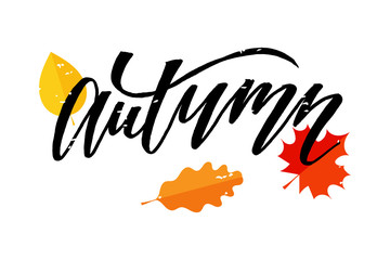 Autumn lettering Calligraphy Brush Text Holiday Vector Sticker