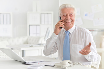 Portrait of confident senior businessman in the office