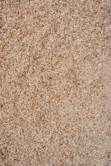 Organic paddy jasmine rice texture for background