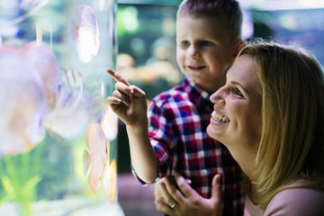 Mother and son watching sea life in oceanarium