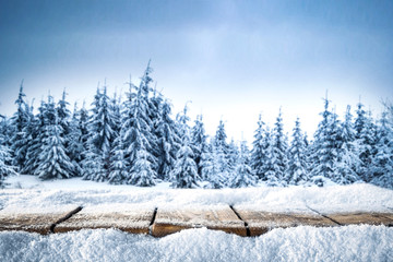 table background of free space for your decorationa and winter landscape of forest 