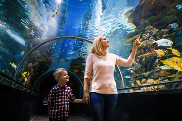 Mother and son watching sea life in oceanarium