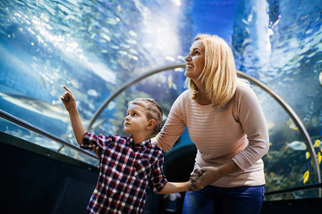 Fototapeta na wymiar Mother and son watching sea life in oceanarium