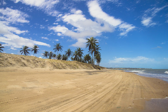 Walking on the beach  on the beautiful coast of Maracajau beach, Rio Grande do Norte in Brazil.