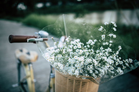 Vintage bicycle with basket and flowers in the par