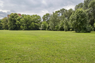 Background of natural green grass field and forest in the natural old West park, Sofia, Bulgaria 