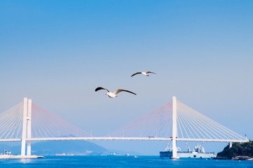 Yeosu harbor with Geobukseon or Dolsan-ro 2 bridge, South Korea