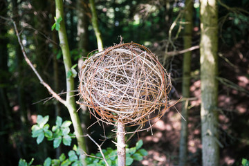 Home Made Spheric Twig Garden Decorations.