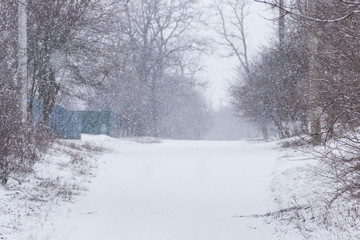 Snowy rural street during snowfall