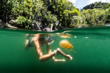 Martigias woman snorkeling with Papua Jellyfish, Jellyfish lake, Misool, Indonesia