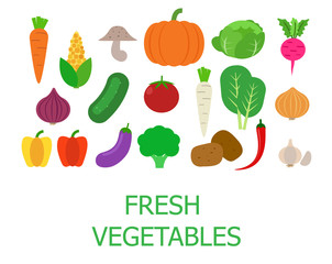 Set of fresh organic vegetables vector illustration.